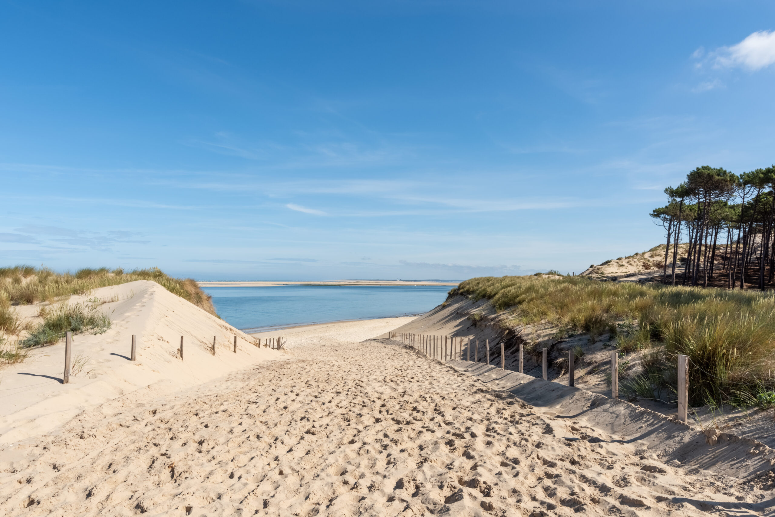 aupa immobilier photo adobestock 6