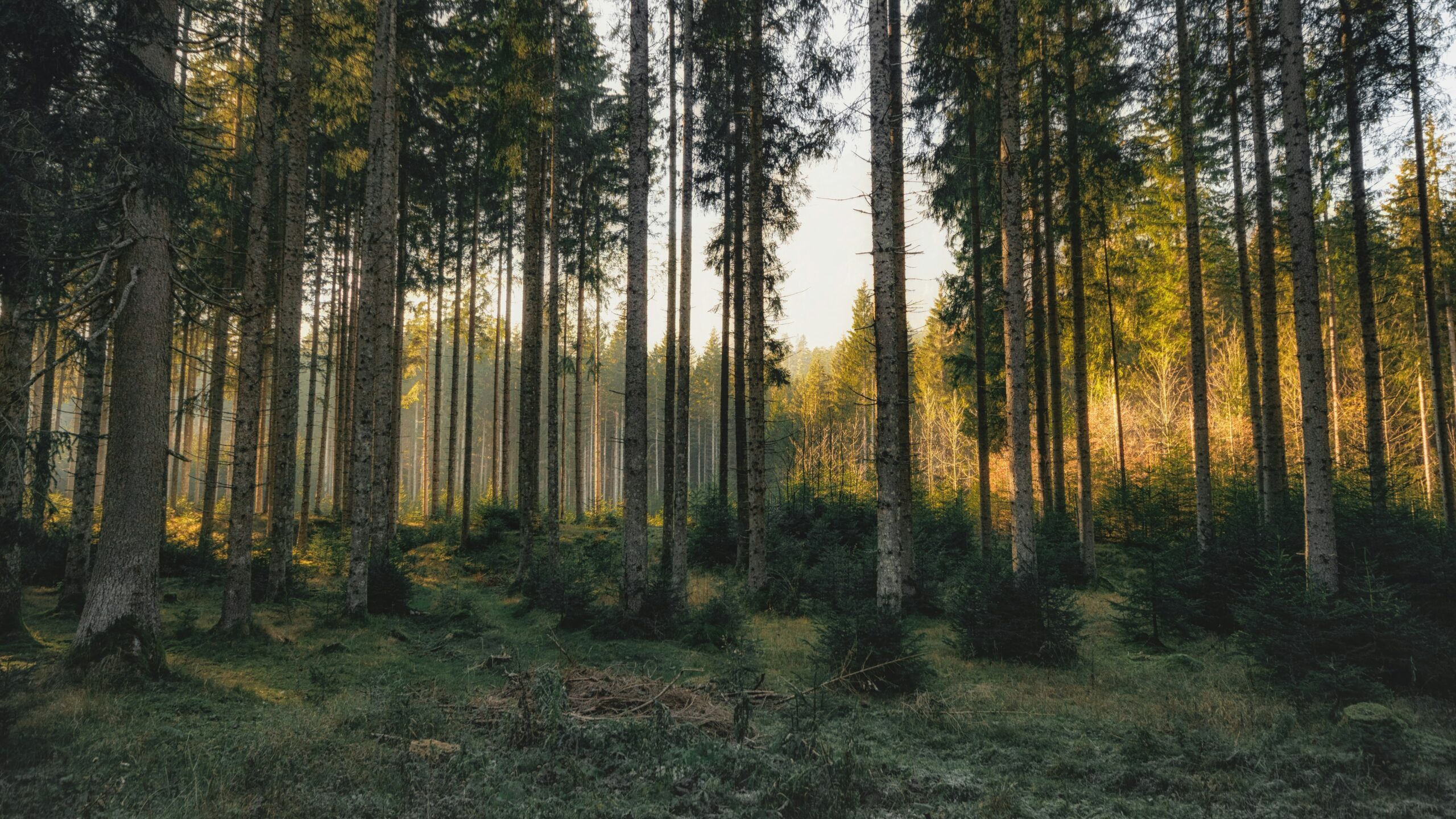 aupa immobilier photo unsplash 11