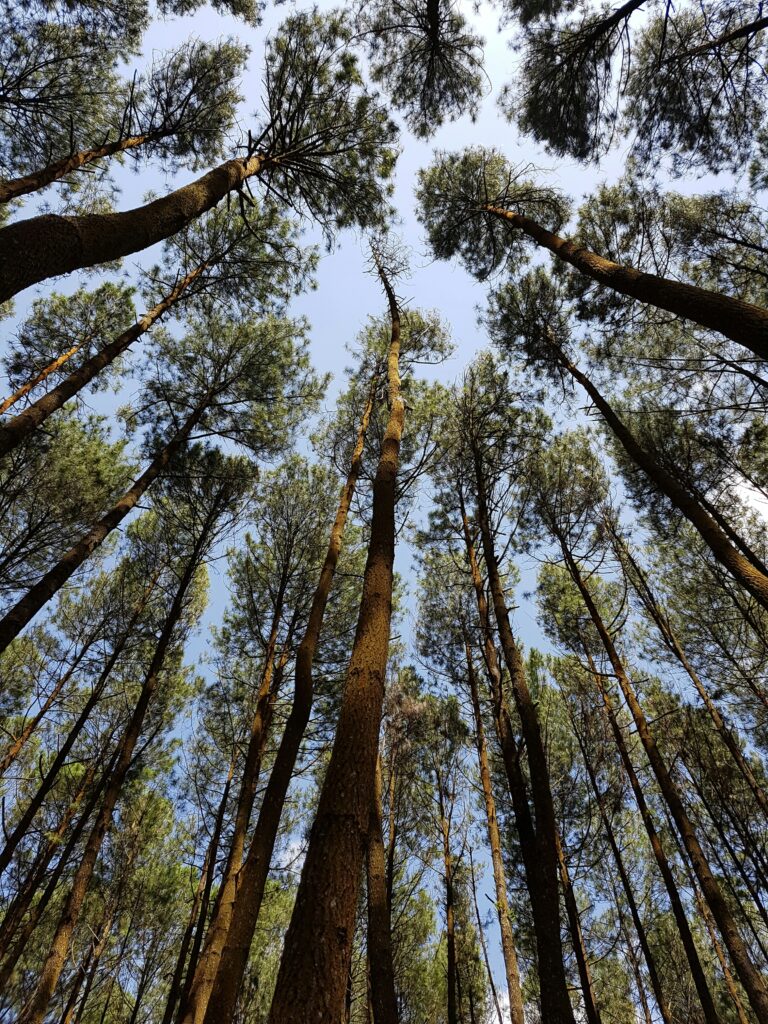 aupa immobilier photo unsplash 3