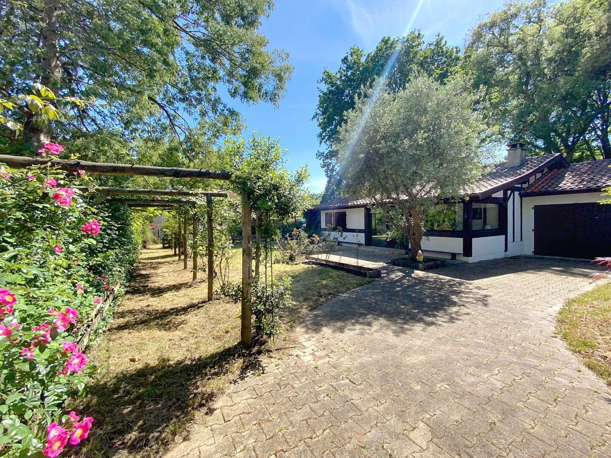 3a9e4657 0e41 4c9a a59b 4ed79b958580