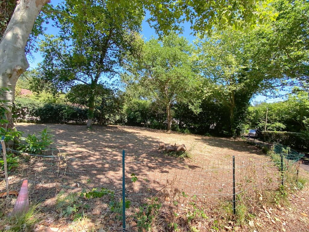 7ca3e596 f088 4a73 82a3 db0a1872df2e